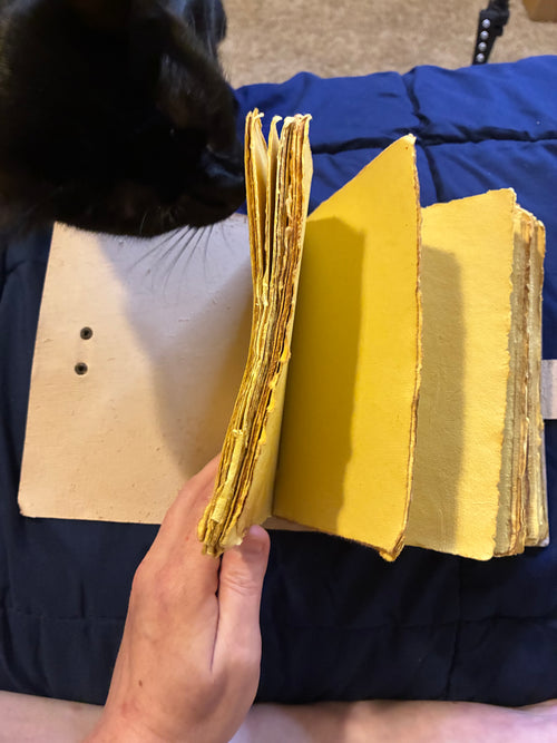 Black cat leather journal