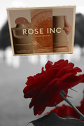 Rose inc- glow on the go set